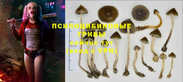 мяу мяу мука Алексин