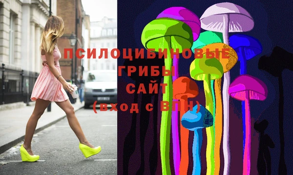 хмурый Алзамай