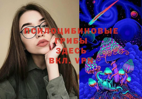 сатива Алексеевка