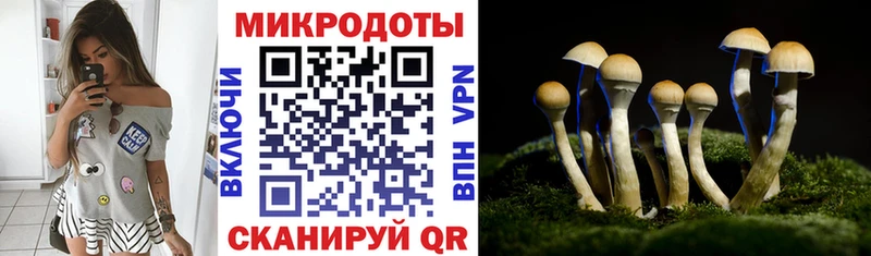 Галлюциногенные грибы Psilocybe Купить закладки Сосновоборск