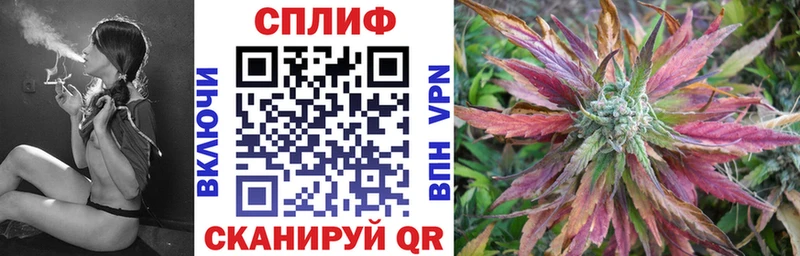 Купить где  Сосновоборск  Бошки Шишки MAZAR 